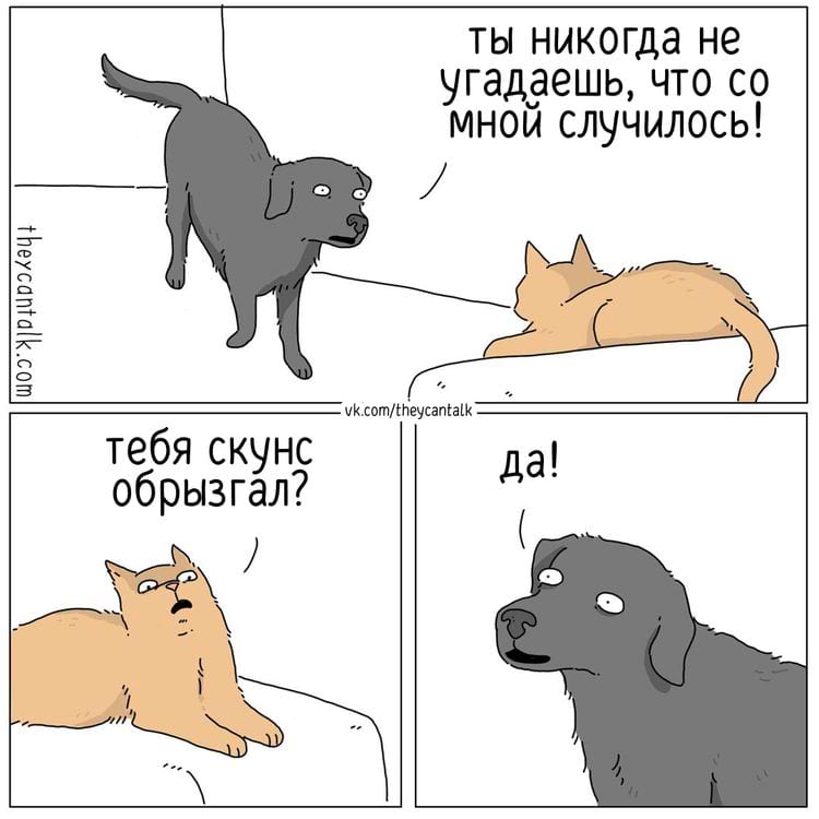 image-20250527110903-9