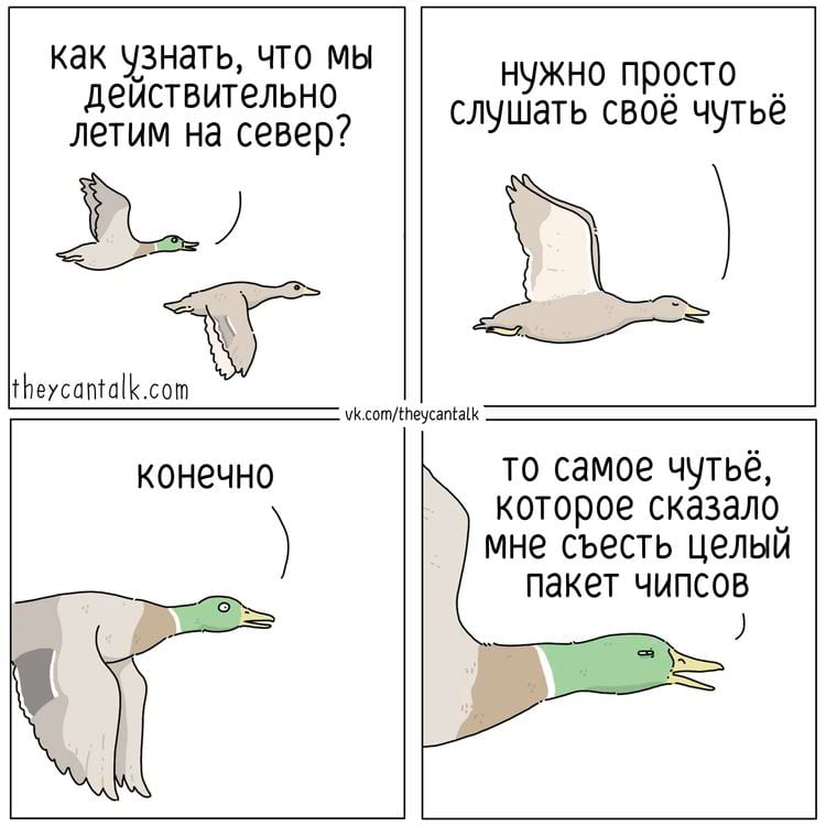 image-20250527110906-10