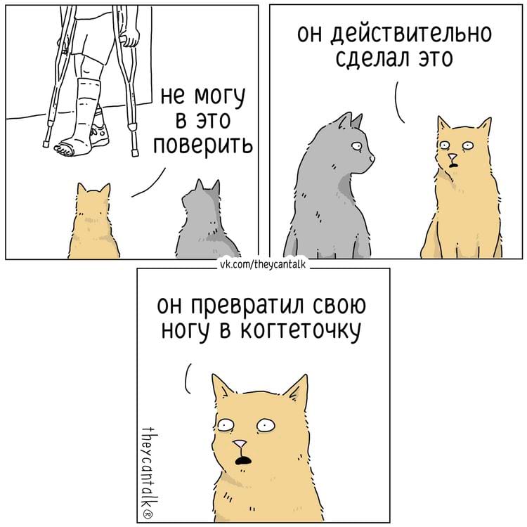 image-20250527110909-11