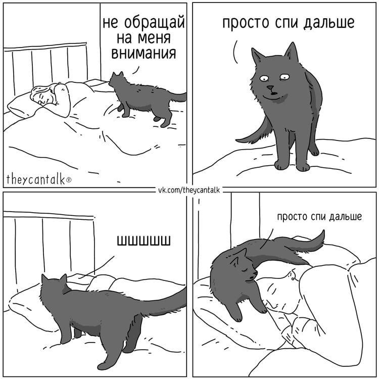 image-20250527110912-12