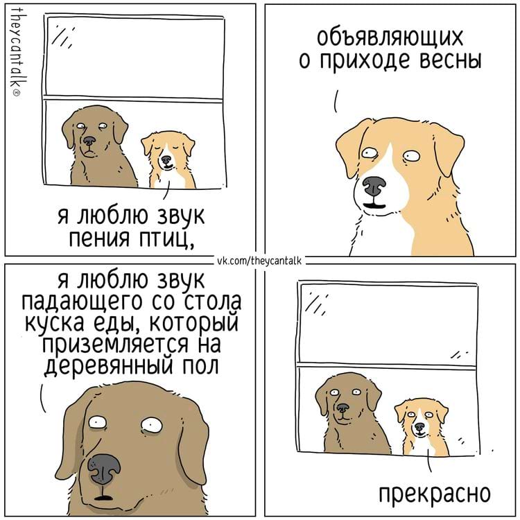 image-20250527110916-13