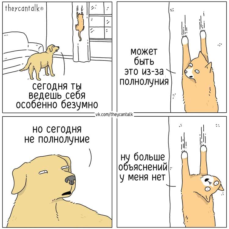 image-20250527110922-15