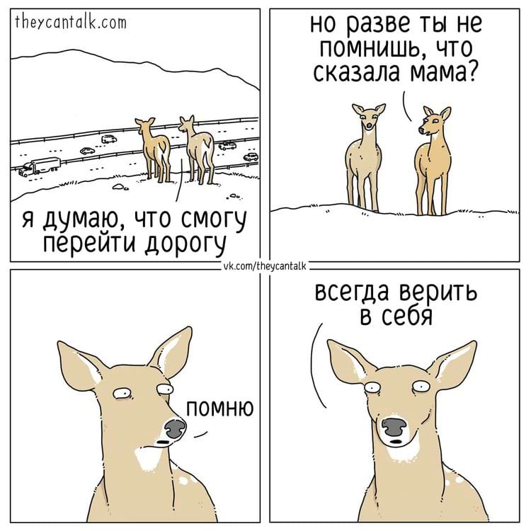 image-20250527110925-16