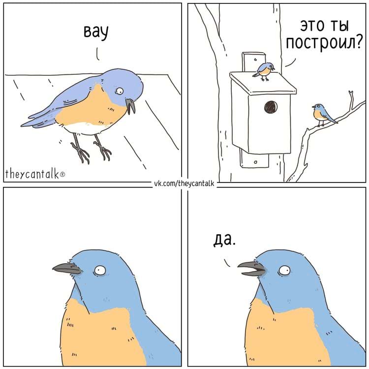 image-20250527110927-17