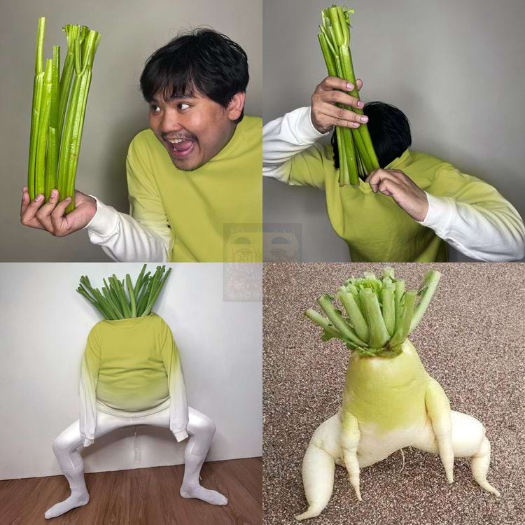 image-20250528113956-4