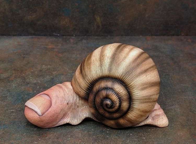 image-20250529122057-4