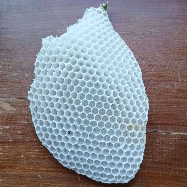 пчелиные соты, напечатаннаые на 3d-принтере
