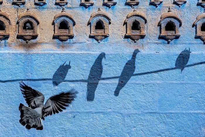 image-20250609111244-2