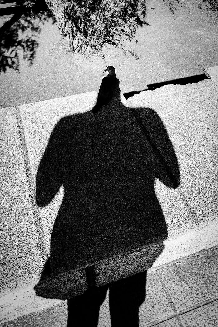 image-20250609111247-3