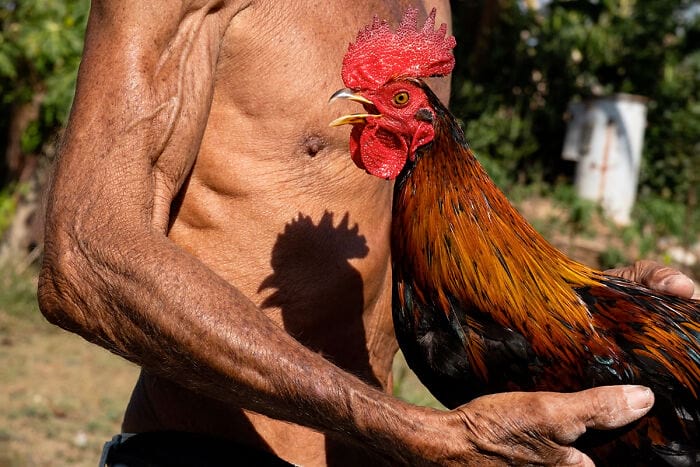 image-20250609111328-16