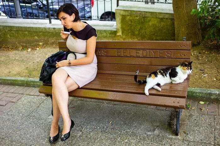 image-20250616111854-9