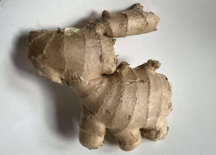 image-20250617144026-1