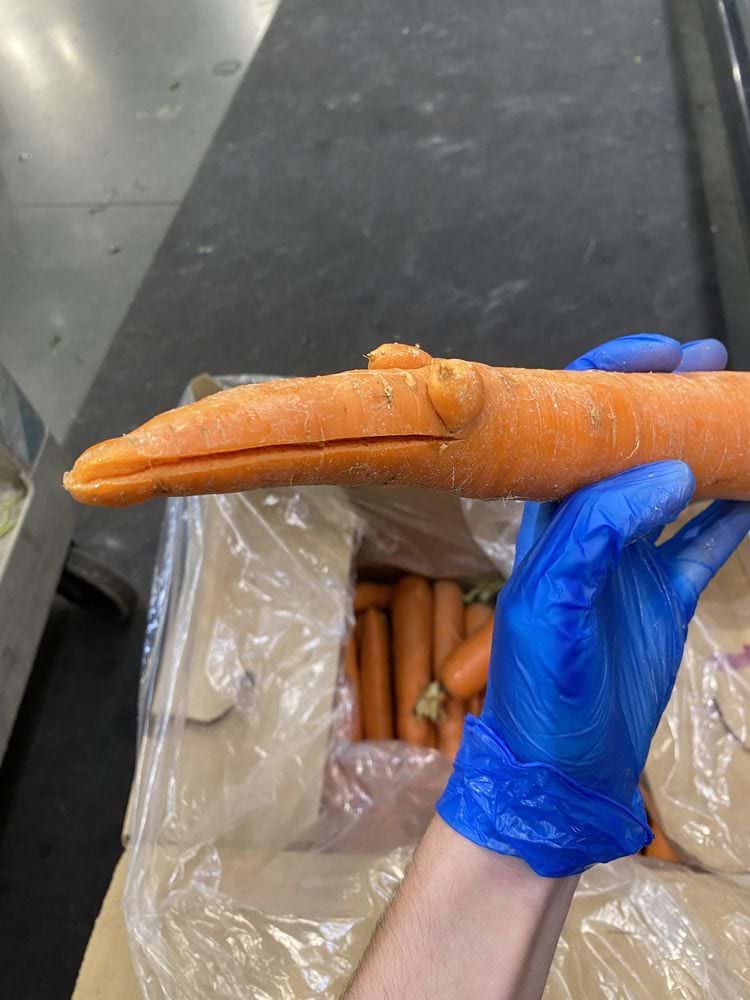 image-20250617144033-4