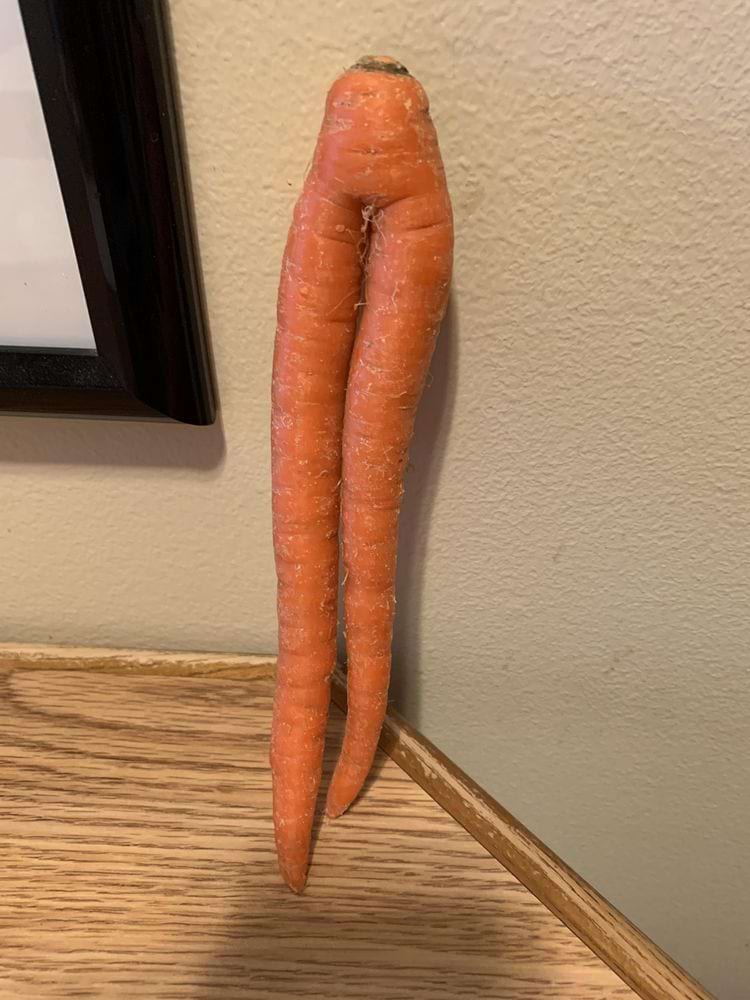 image-20250617144046-8