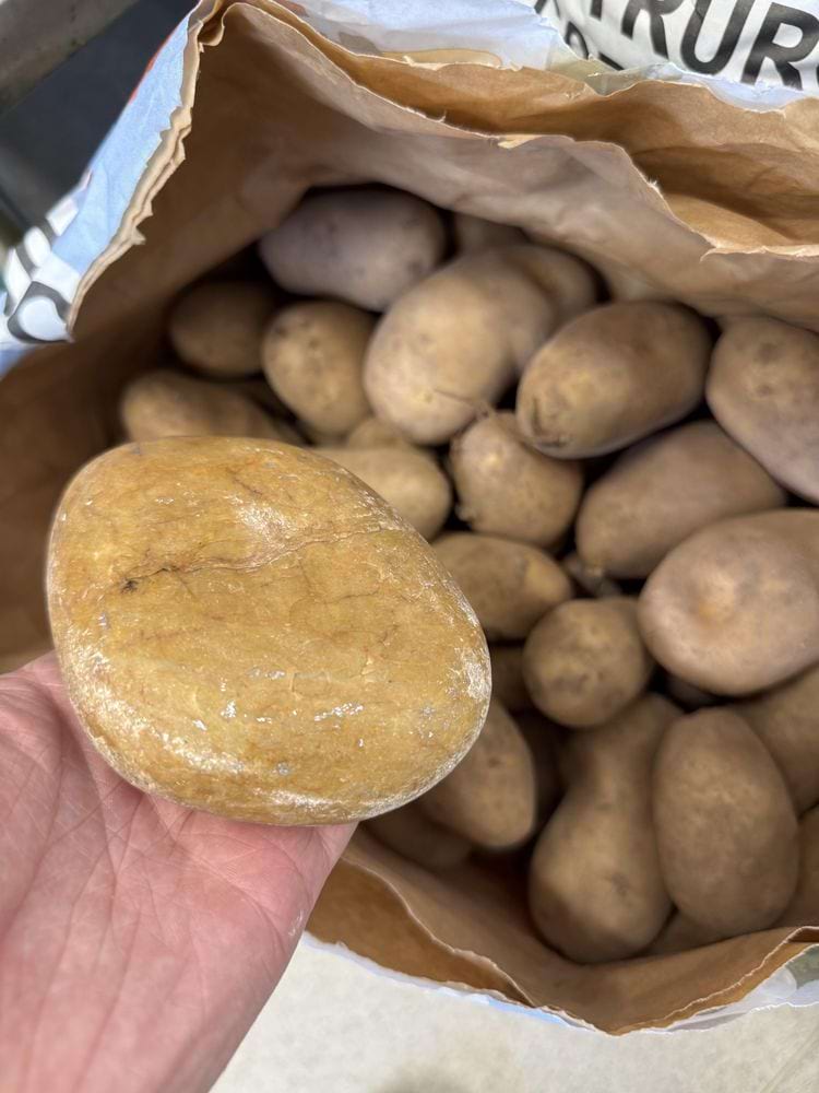 image-20250617144109-15