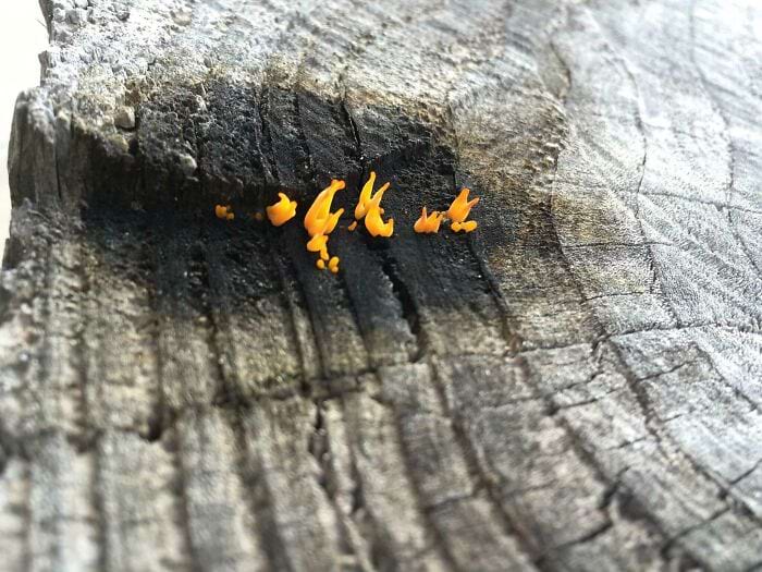 image-20250617144114-17