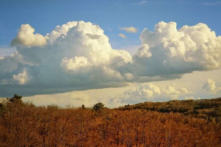 image-20250618113737-9