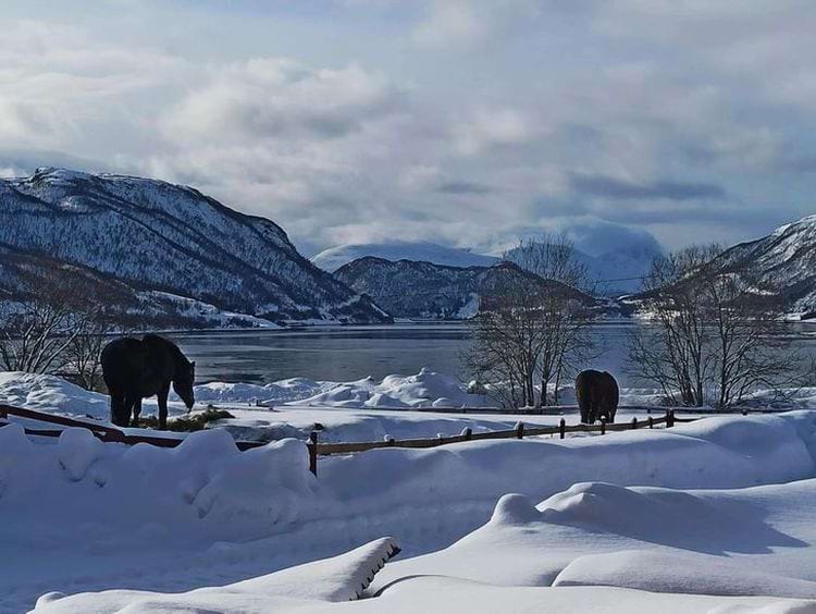 image-20250618113749-13