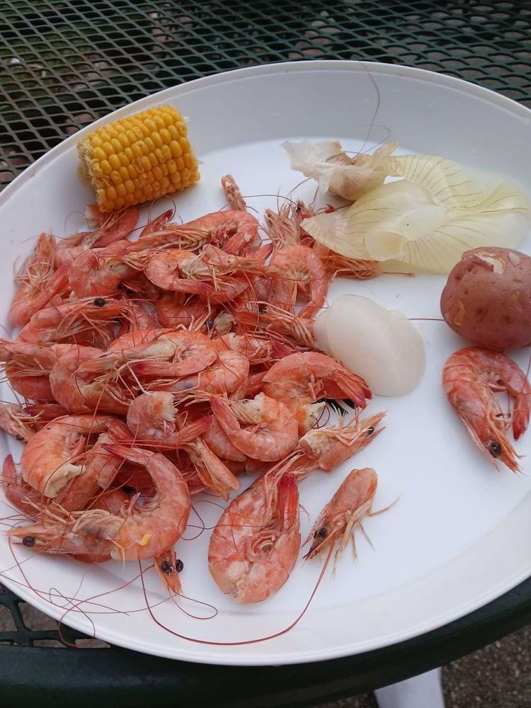 image-20250618171836-3