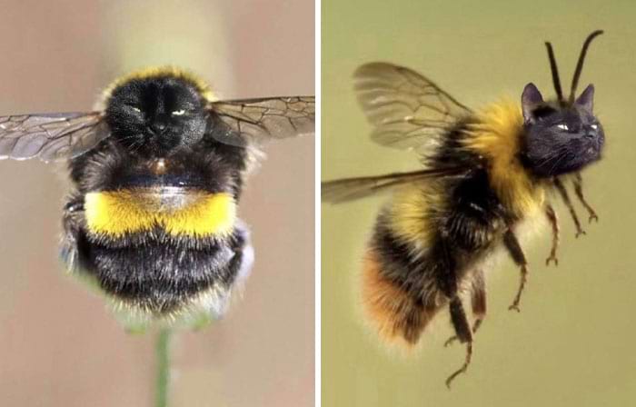 image-20250619160940-4