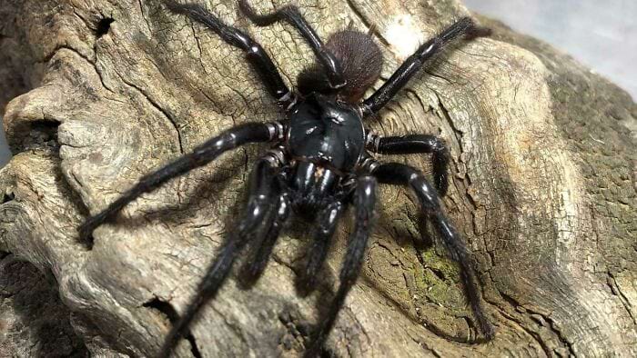 image-20250625172556-3