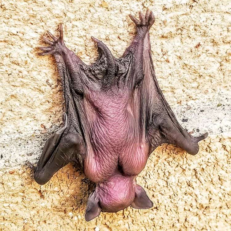 image-20250625172700-15