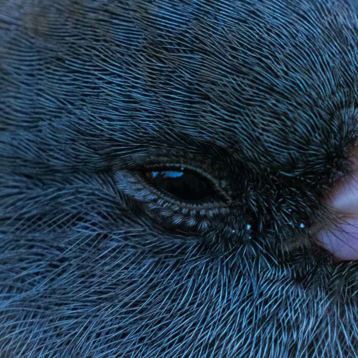 image-20250630101921-6