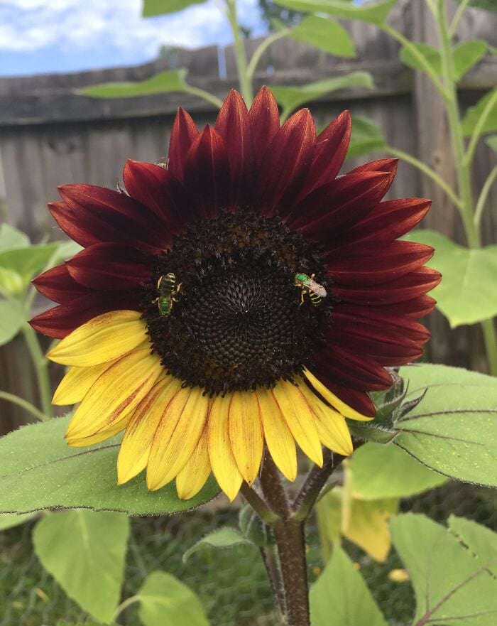 image-20250630101953-14