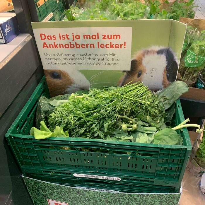 image-20250630112329-1