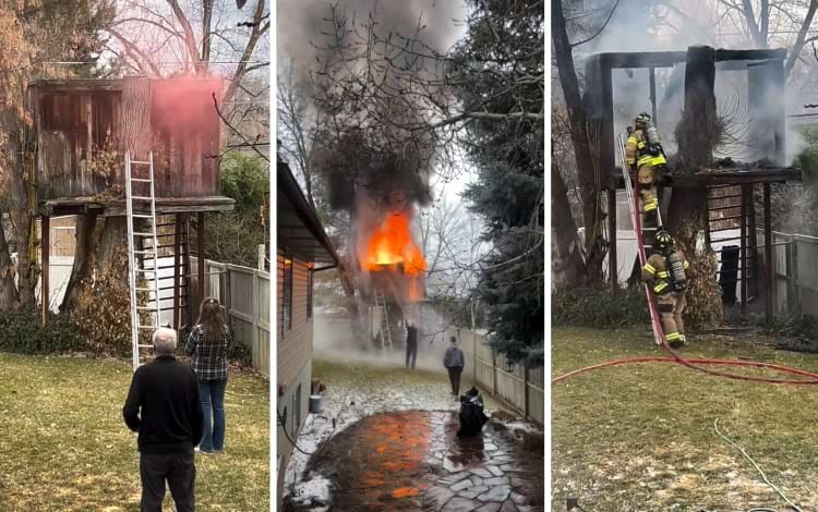 домик на дереве сгорел