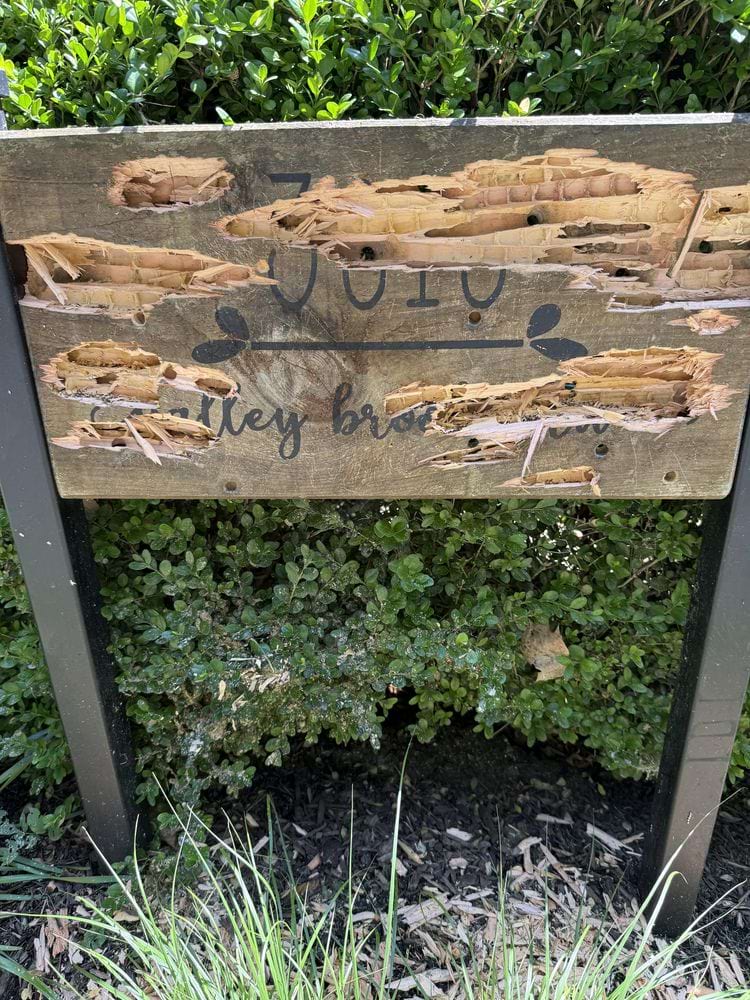 деревянная табличка побитая дятлом