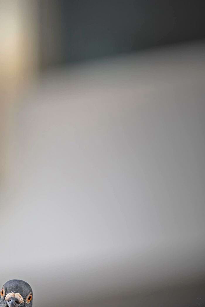 image-20250701124145-1