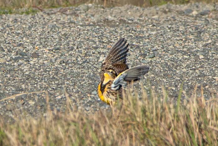 image-20250701124149-2