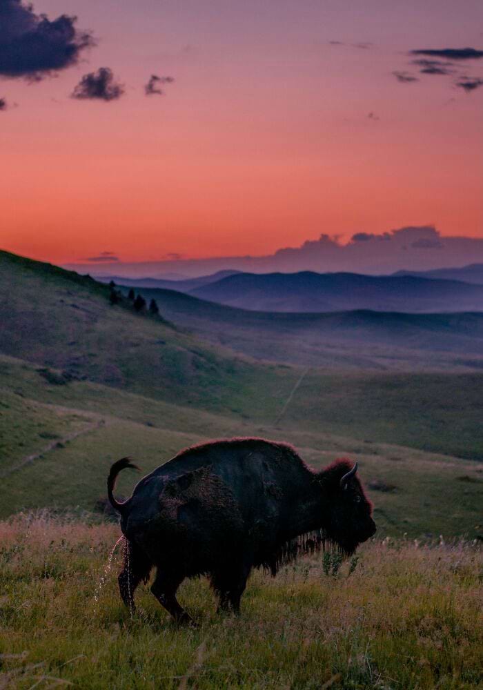 image-20250701124151-3