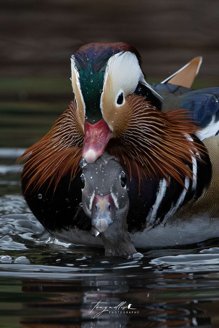 image-20250701124200-5