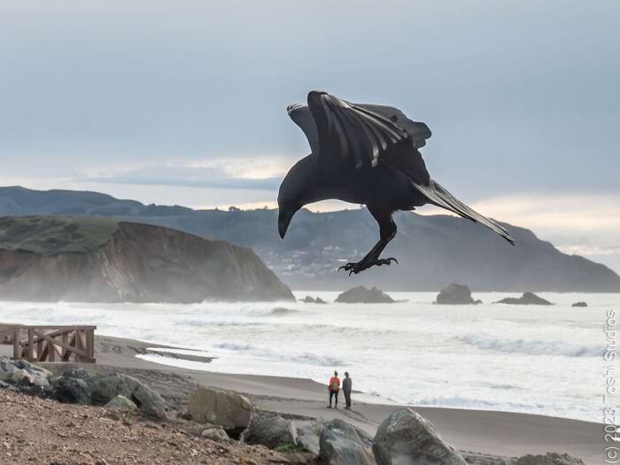 image-20250701124345-6