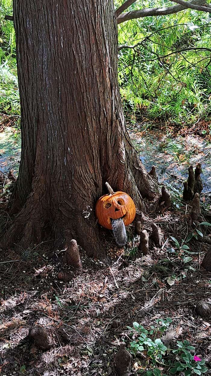 image-20250701124350-8