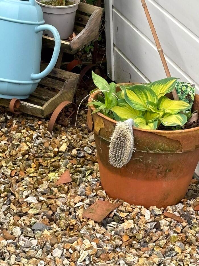 image-20250701124358-10