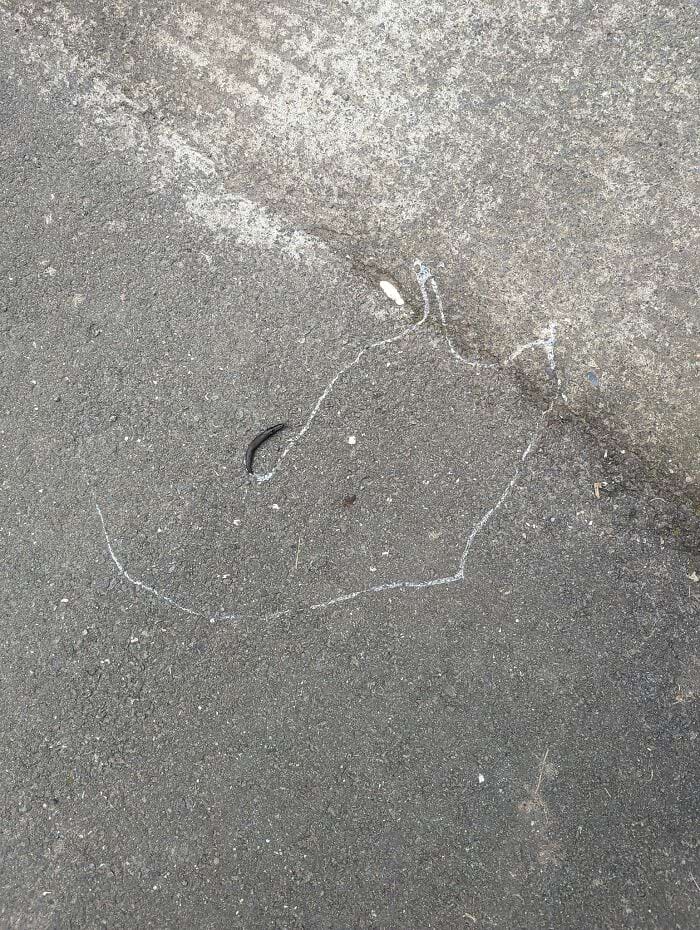 image-20250701124401-11