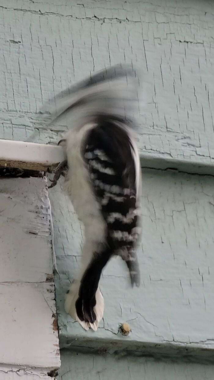 image-20250701124404-12