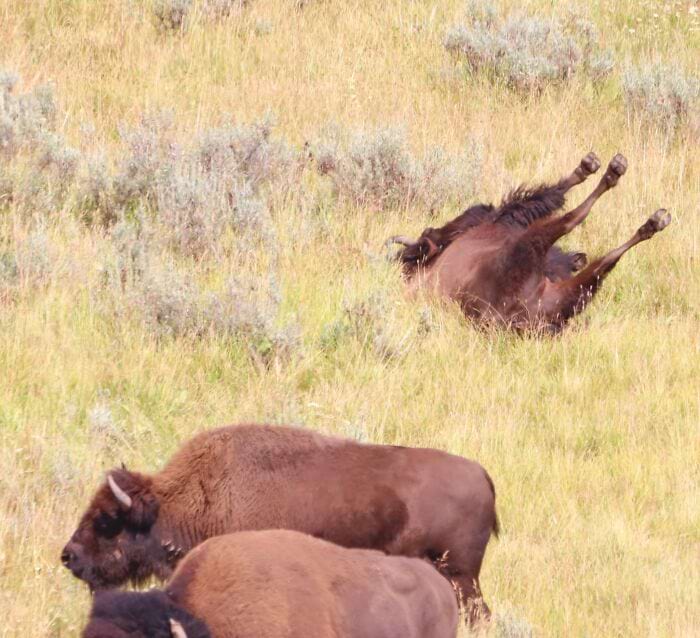 image-20250701124408-13