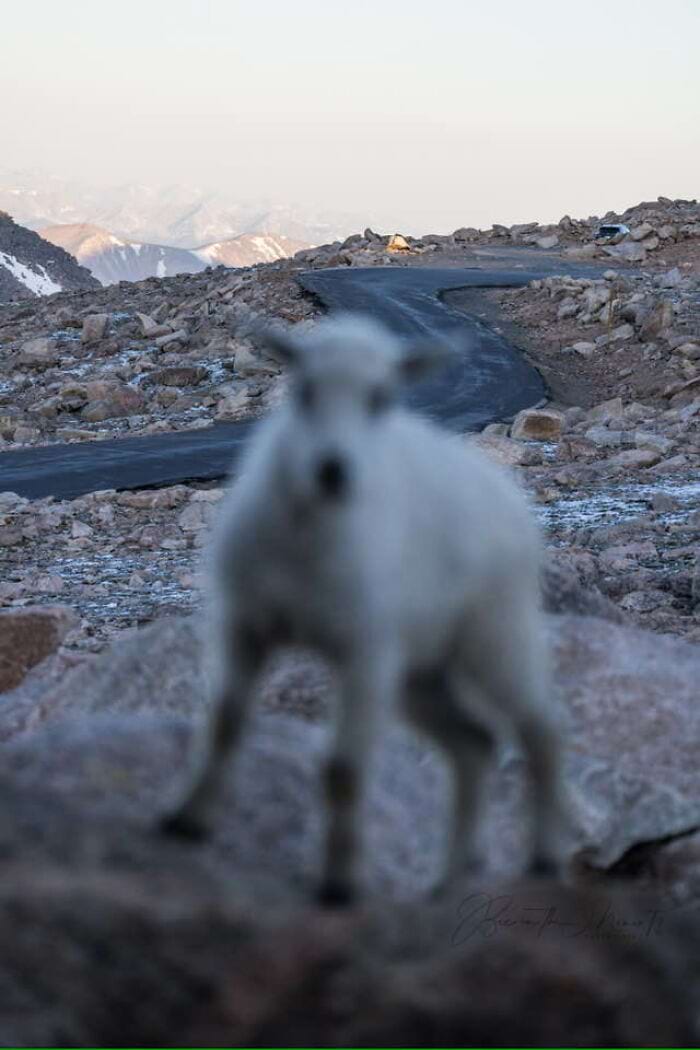 image-20250701124411-14