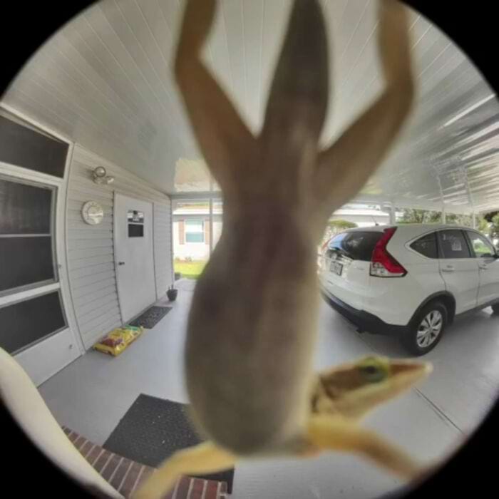 image-20250701124413-15