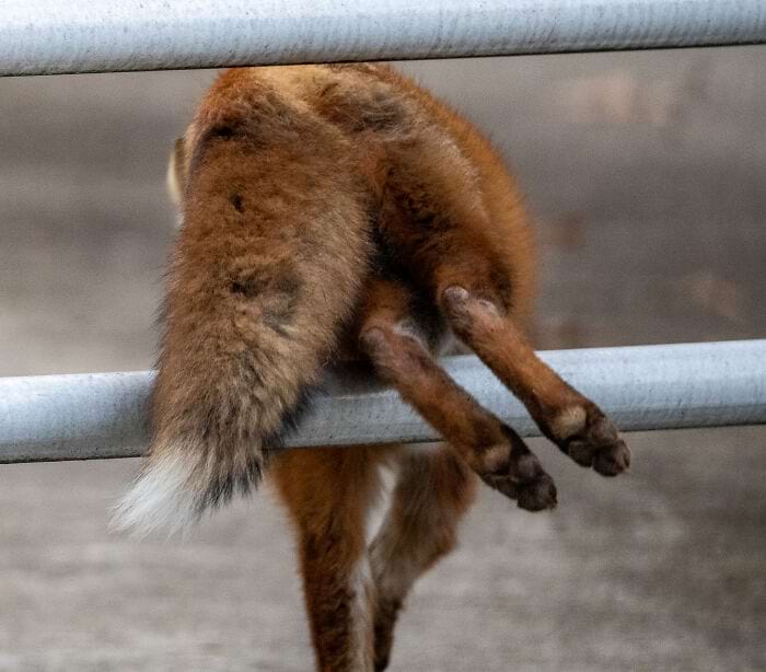 image-20250701124417-16