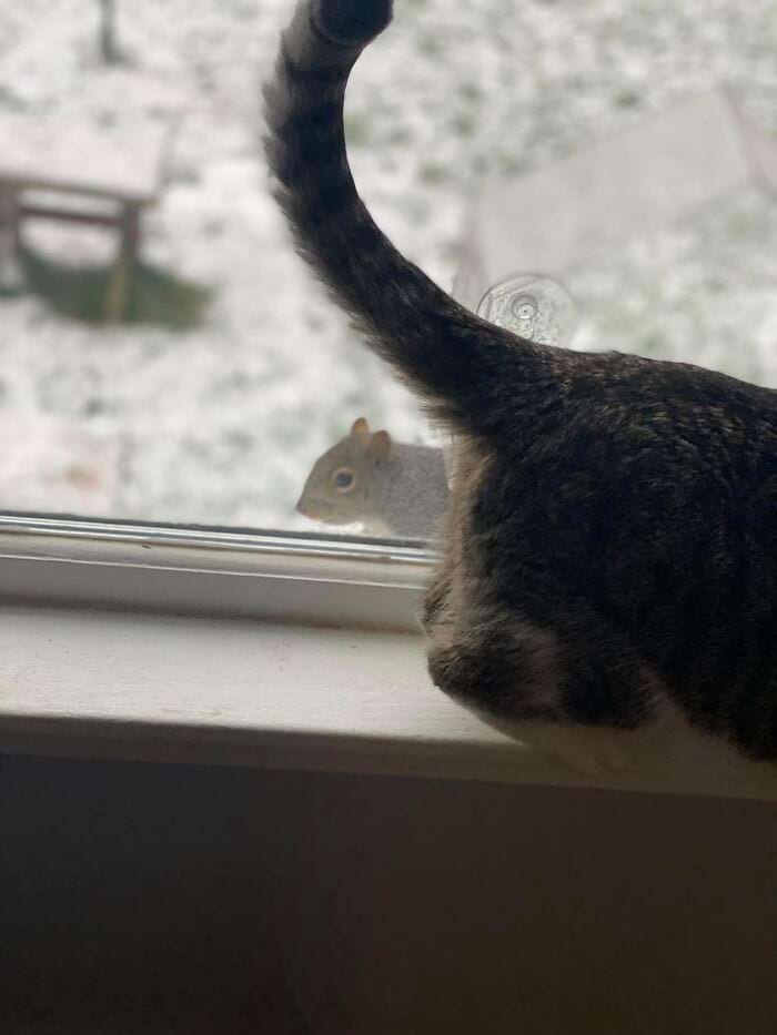 image-20250701124419-17