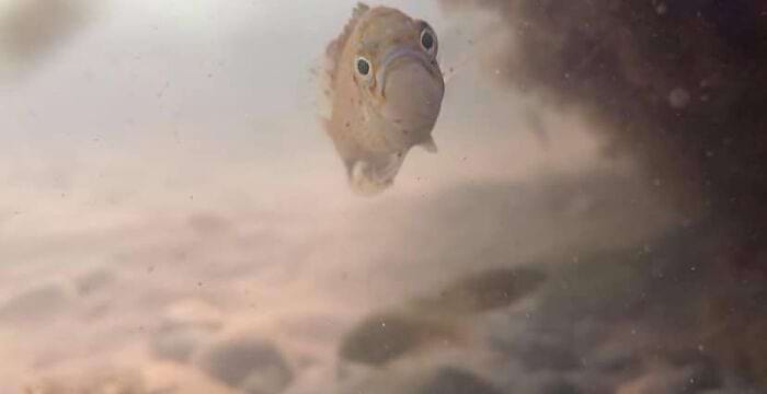 image-20250701124422-18