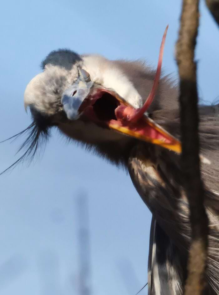 image-20250701124425-19