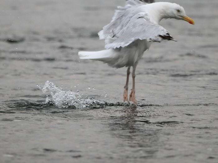 image-20250701124428-20