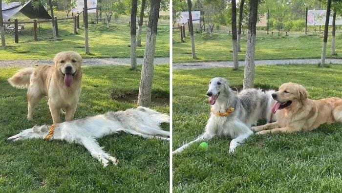 image-20250709151927-7