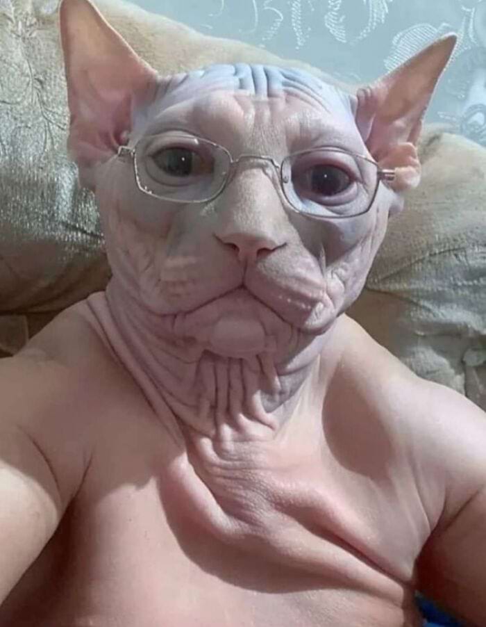 image-20250709151949-14